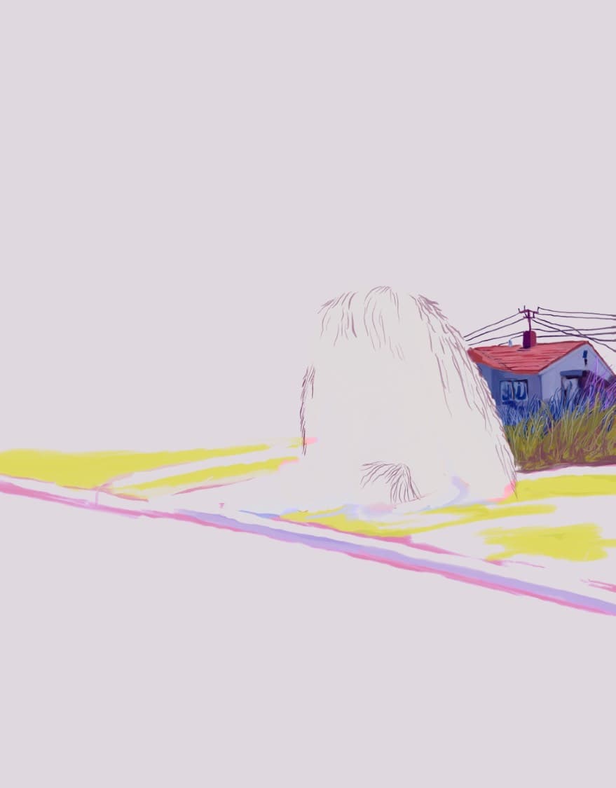 False Morning : White